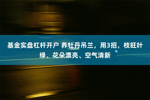 基金实盘杠杆开户 养牡丹吊兰，用3招，枝旺叶绿、花朵漂亮、空气清新