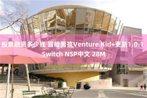 股票融资多少钱 冒险男孩Venture Kid+更新1.0.1 Switch NSP中文 28M