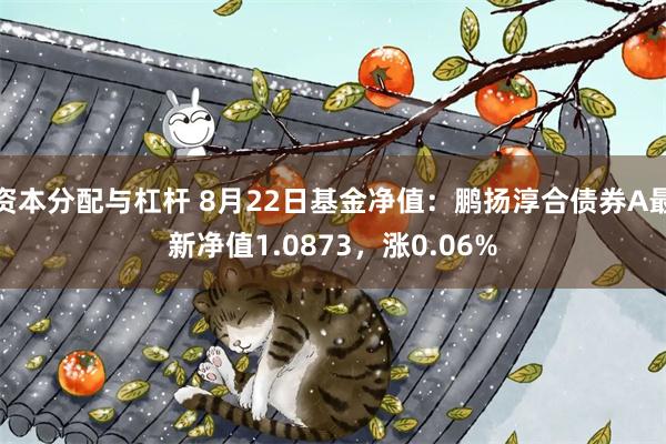 资本分配与杠杆 8月22日基金净值：鹏扬淳合债券A最新净值1.0873，涨0.06%