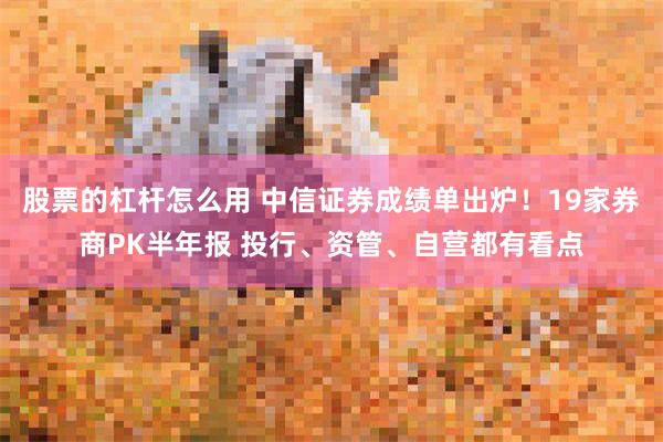 股票的杠杆怎么用 中信证券成绩单出炉！19家券商PK半年报 投行、资管、自营都有看点