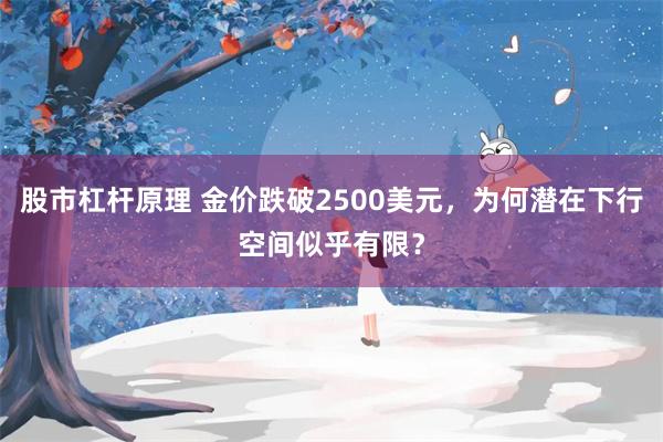 股市杠杆原理 金价跌破2500美元，为何潜在下行空间似乎有限？