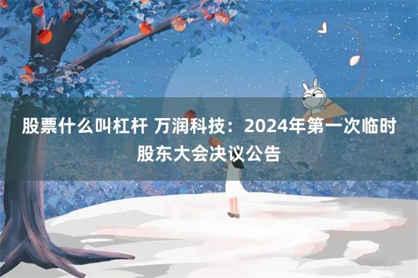 股票什么叫杠杆 万润科技：2024年第一次临时股东大会决议公告