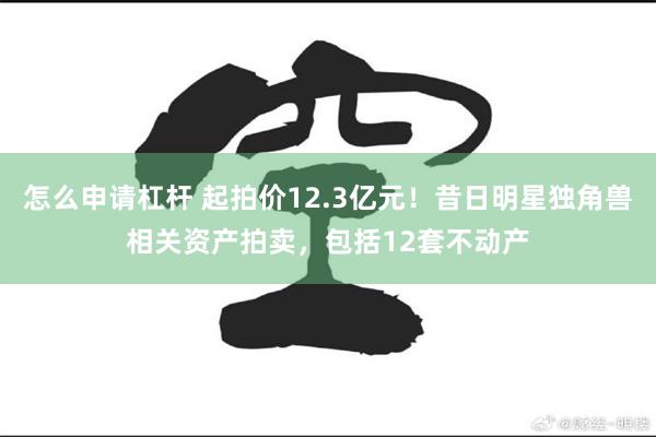 怎么申请杠杆 起拍价12.3亿元！昔日明星独角兽相关资产拍卖，包括12套不动产