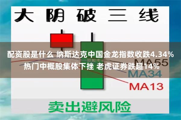 配资股是什么 纳斯达克中国金龙指数收跌4.34% 热门中概股集体下挫 老虎证券跌超14%