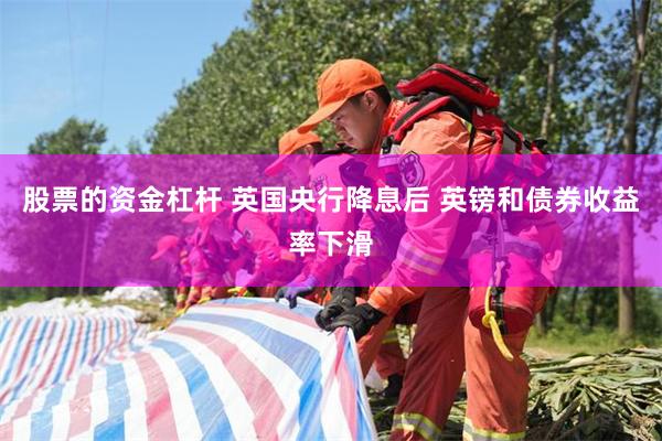 股票的资金杠杆 英国央行降息后 英镑和债券收益率下滑