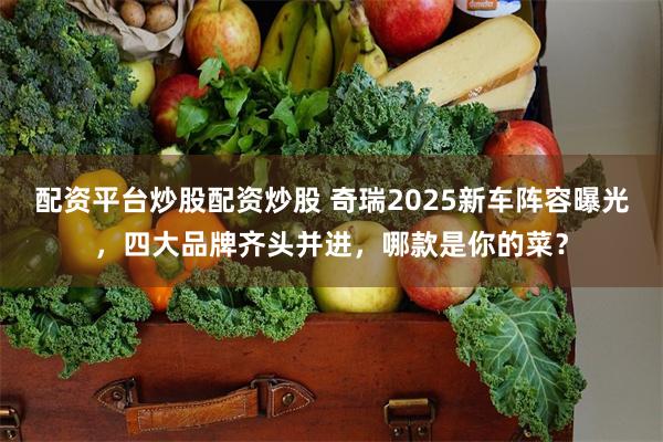 配资平台炒股配资炒股 奇瑞2025新车阵容曝光，四大品牌齐头并进，哪款是你的菜？