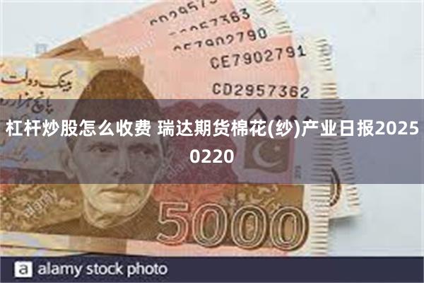 杠杆炒股怎么收费 瑞达期货棉花(纱)产业日报20250220