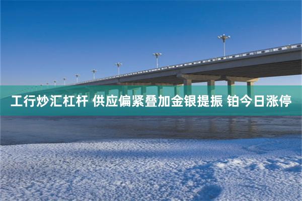 工行炒汇杠杆 供应偏紧叠加金银提振 铂今日涨停