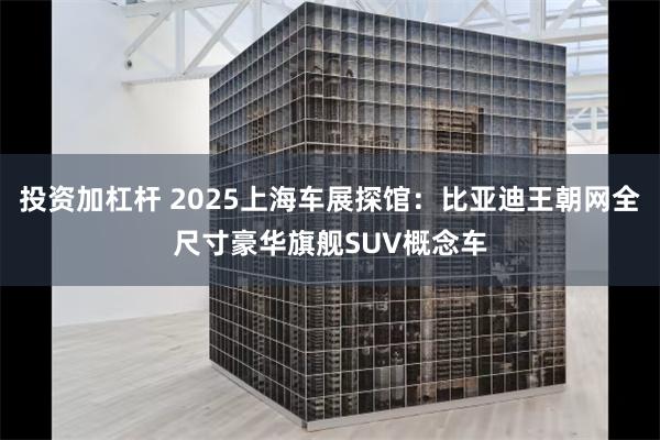 投资加杠杆 2025上海车展探馆：比亚迪王朝网全尺寸豪华旗舰SUV概念车